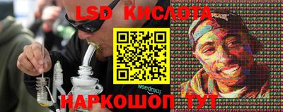 гидра Будённовск
