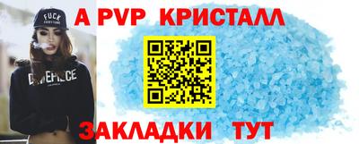гидра Будённовск