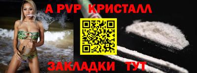 гидра Будённовск
