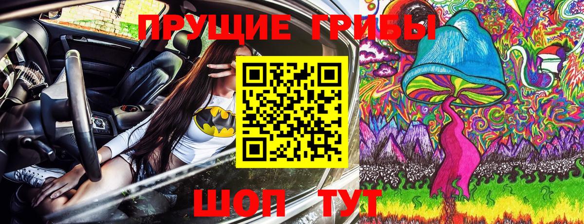 Галлюциногенные грибы Psilocybine cubensis  Вход с VPN  Галлюциногенные грибы GOLDEN TEACHER  Черкесск 